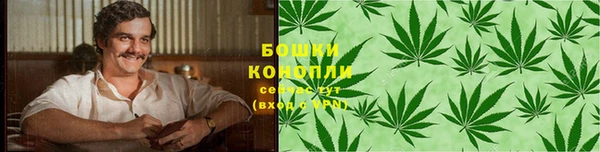 PSILOCYBIN Гусь-Хрустальный