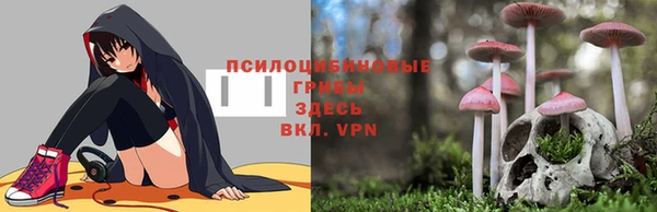 соль ск Гусев