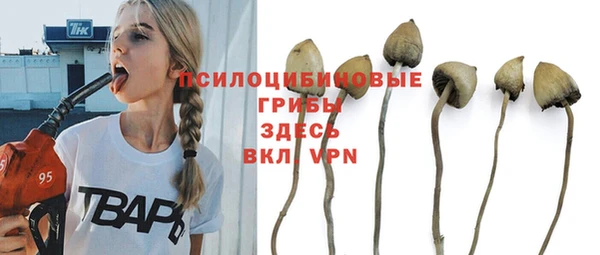 mdma Гусиноозёрск