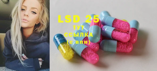 PSILOCYBIN Гусь-Хрустальный