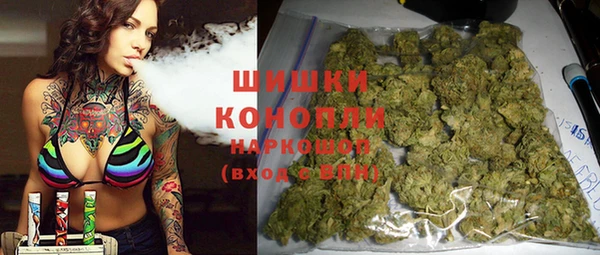 соль ск Гусев
