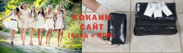 a pvp Горняк